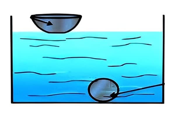 Floating Bodies Quiz 3