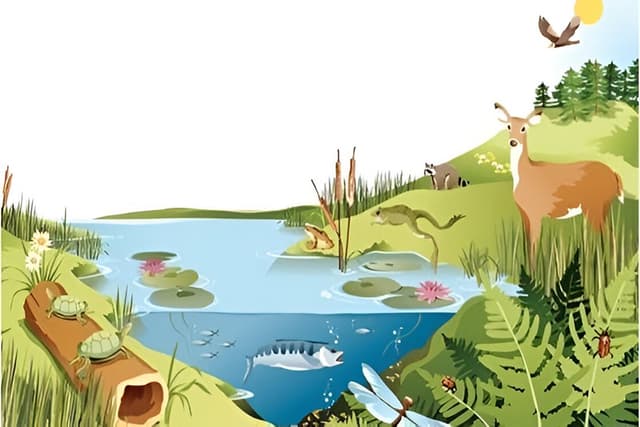 Adaptations in Different Ecosystems Quiz 1