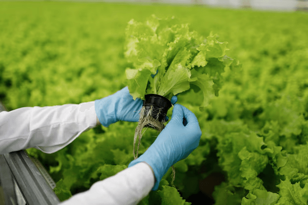 Crop Production & Management Quiz 5
