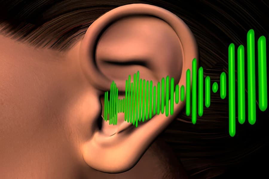 Sound Quiz 1
