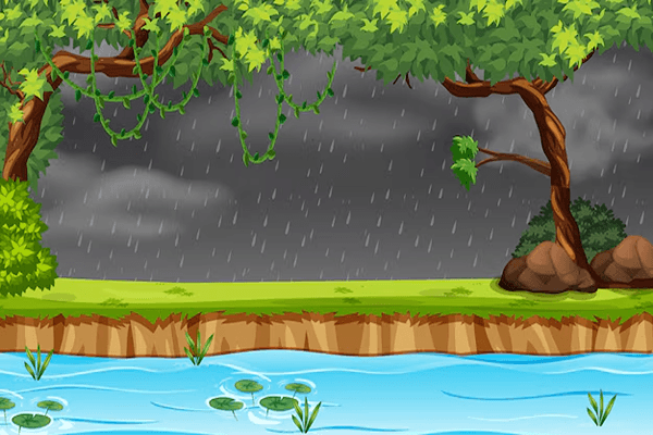 Rain and Rivers Quiz 2