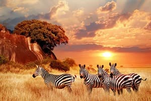 Africa Quiz 3