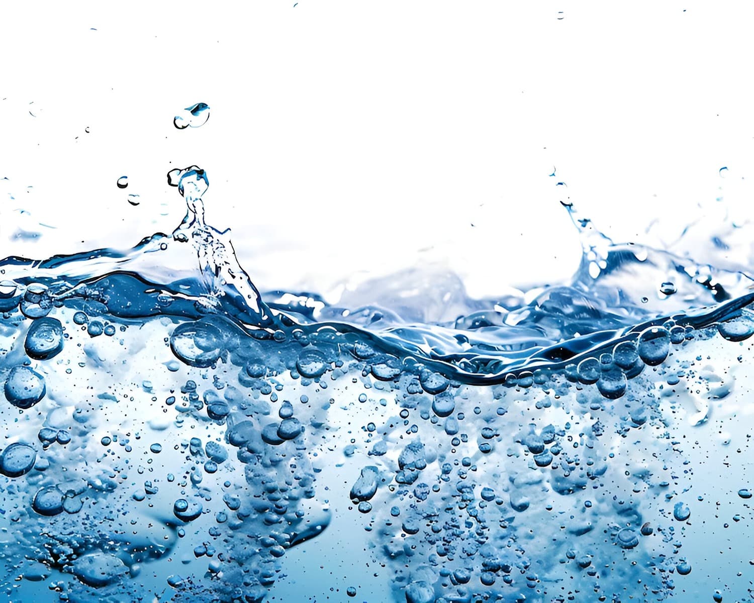 Water: A Precious Resource Quiz 2