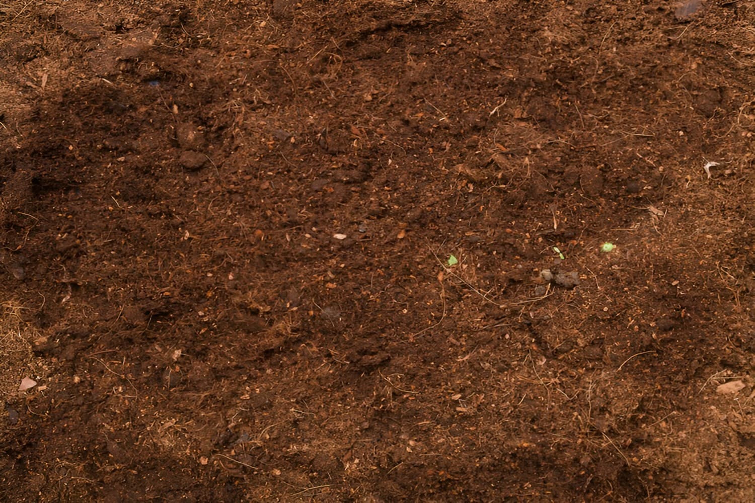 Soil Quiz 1