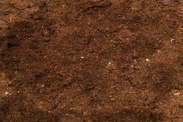 Soil Quiz 1