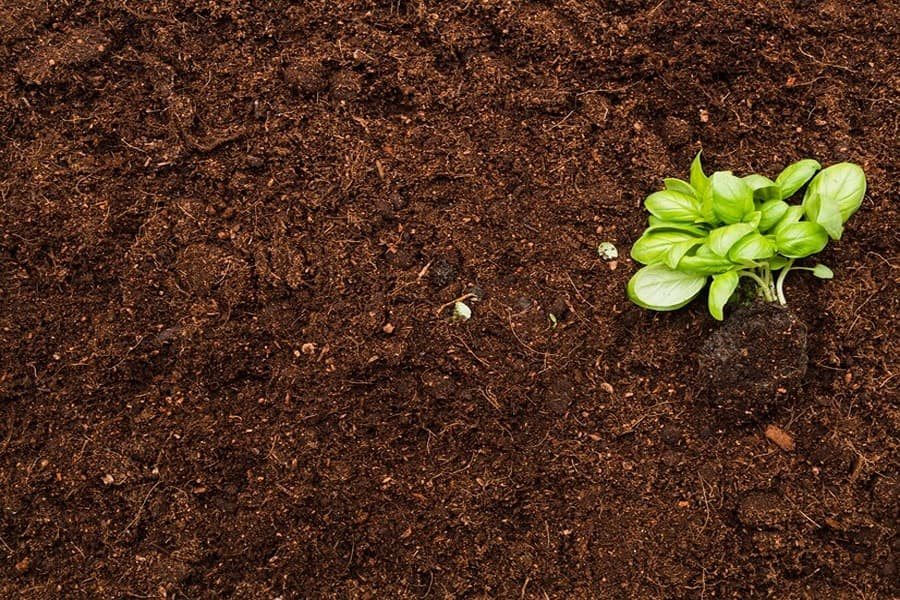 Soil Quiz 2