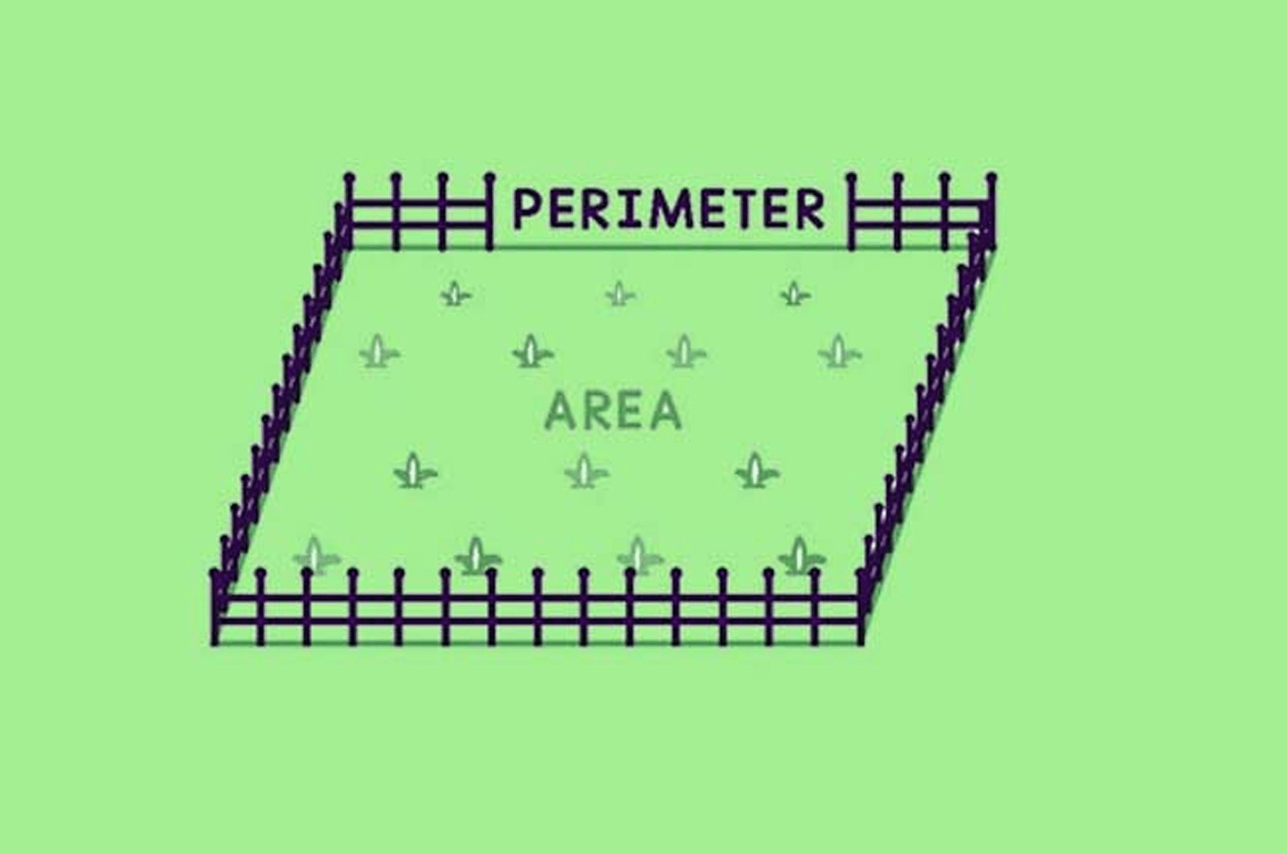 Perimeter & Area Quiz 2