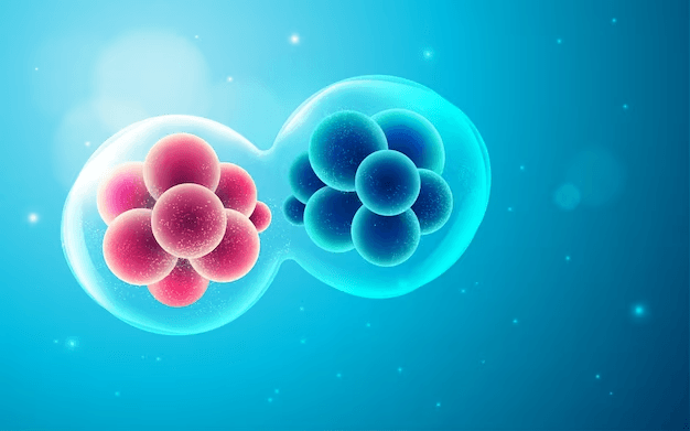 Cell Anatomy Challenge