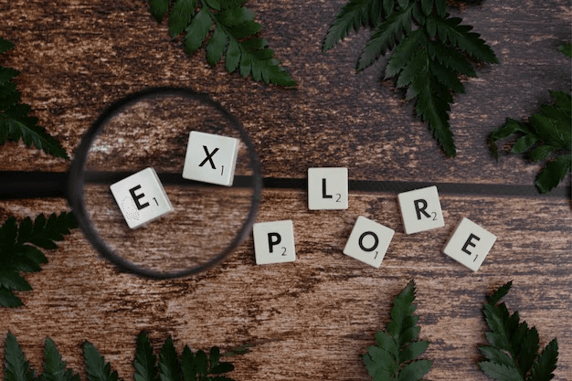 Wordplay Wonders