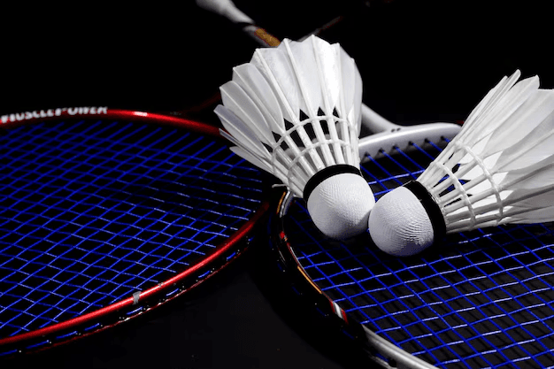 Ace the Badminton Quiz!