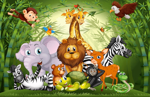 Animal Quiz