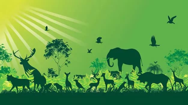 Biodiversity Quiz