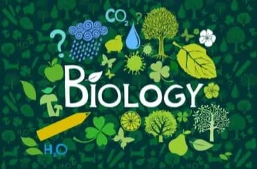 Biology Basics Quiz