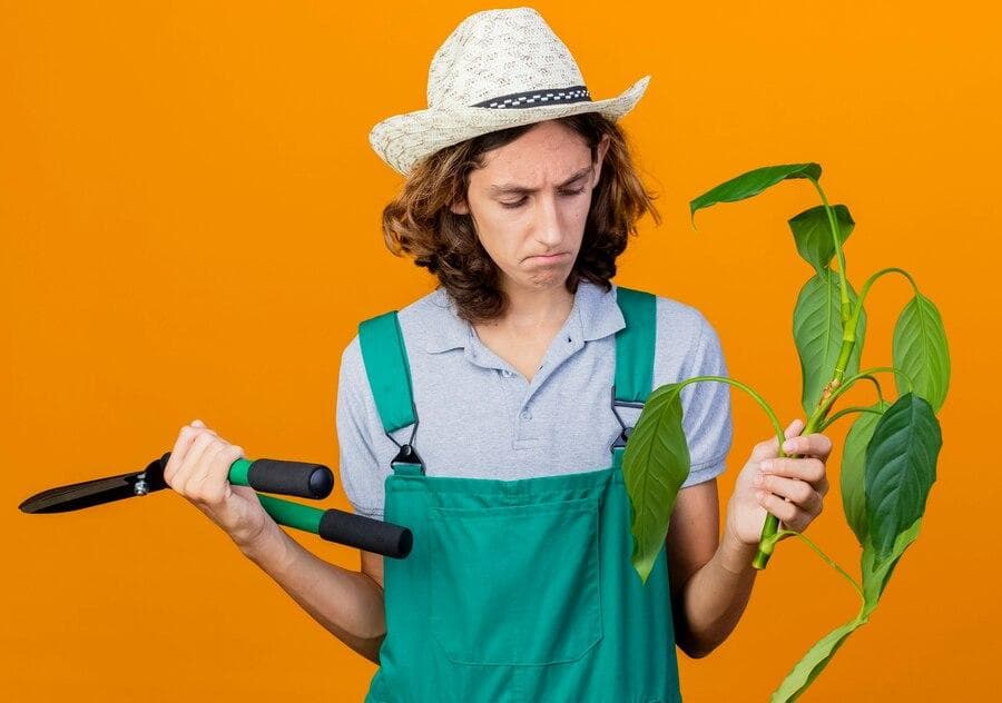 The Basic Farming Quiz