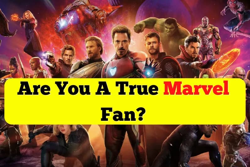 Are You A True Marvel Fan?
