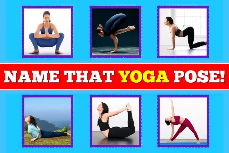 Name That Yoga Pose!