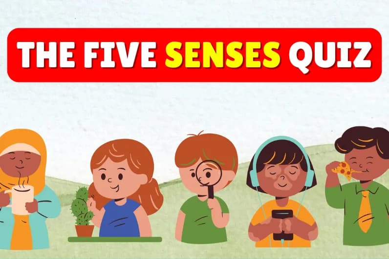 The Five Senses Quiz