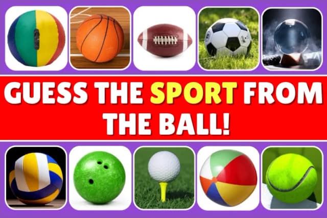 Guess the Sport from the Ball!