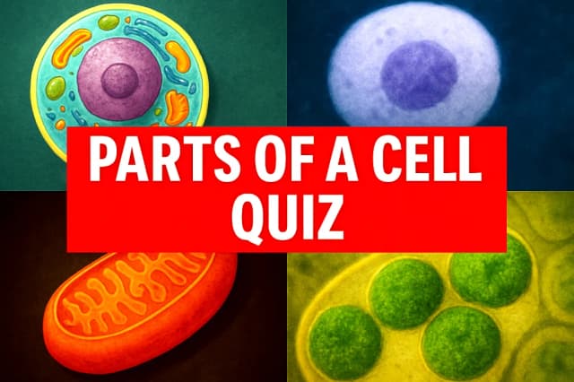 Parts of a Cell Quiz