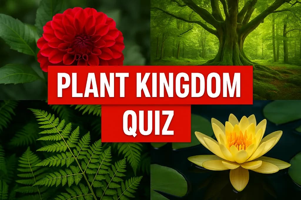 Plant Kingdom Quiz