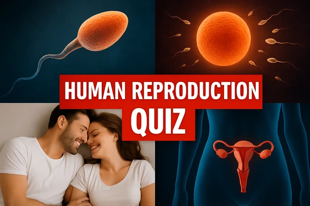 Human Reproduction Quiz