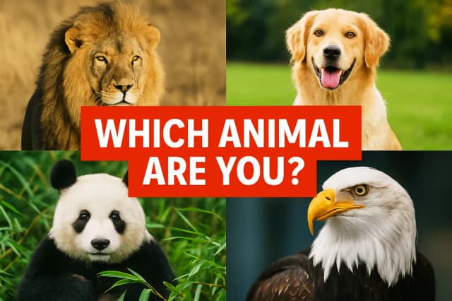 Which Animal Are You?