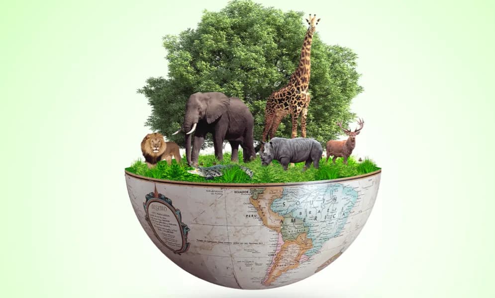 Biodiversity Wonders Quiz