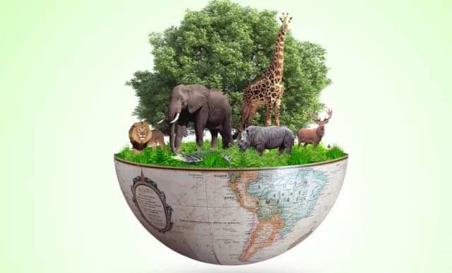 Biodiversity Wonders Quiz