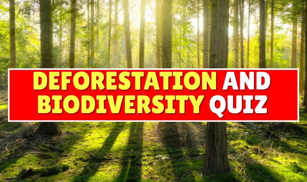 Deforestation and Biodiversity Quiz