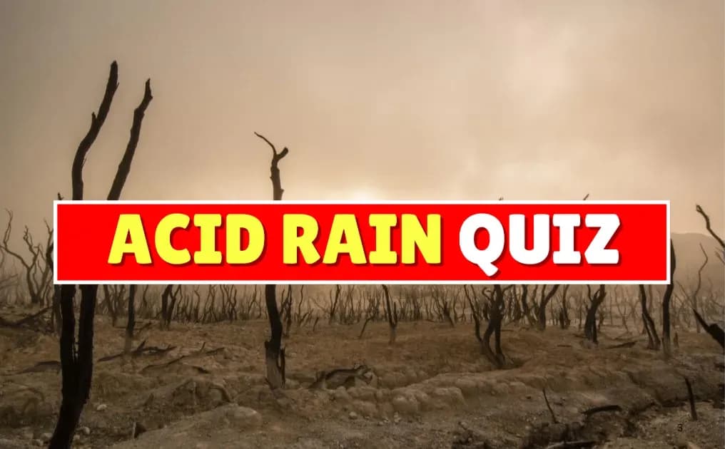 Acid Rain Quiz