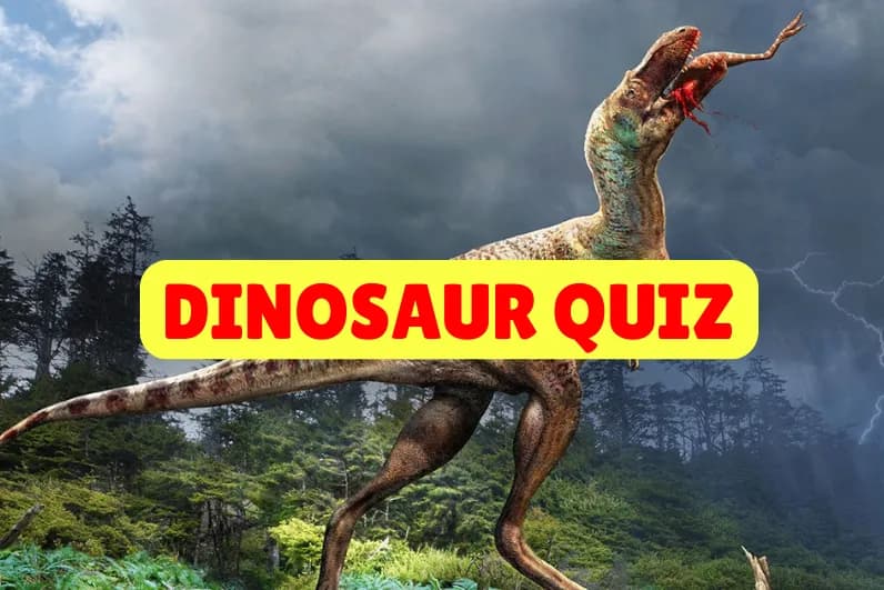 Dinosaur quiz