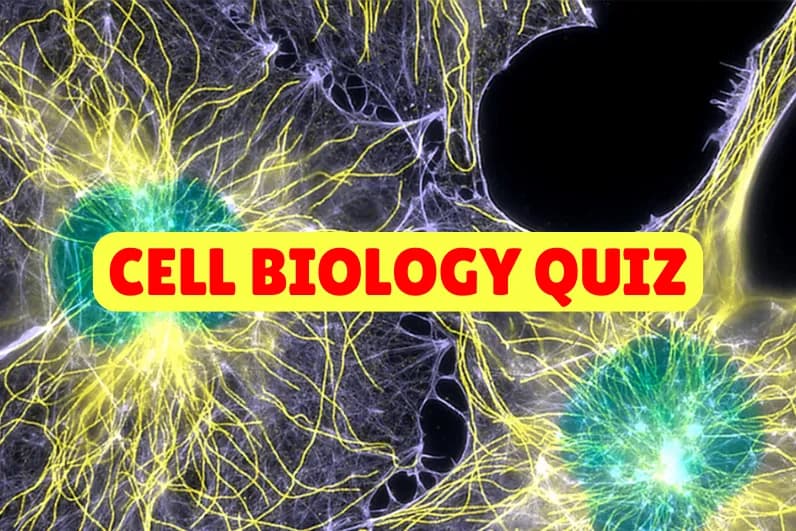 Cell Biology Quiz