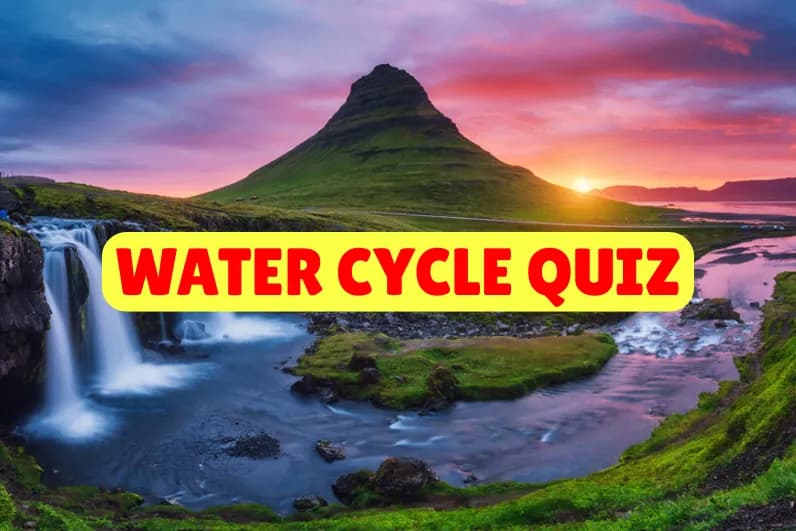 Water Cycle Quiz