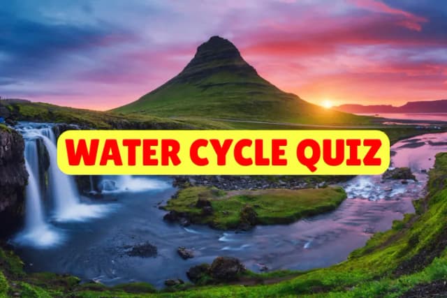 Water Cycle Quiz