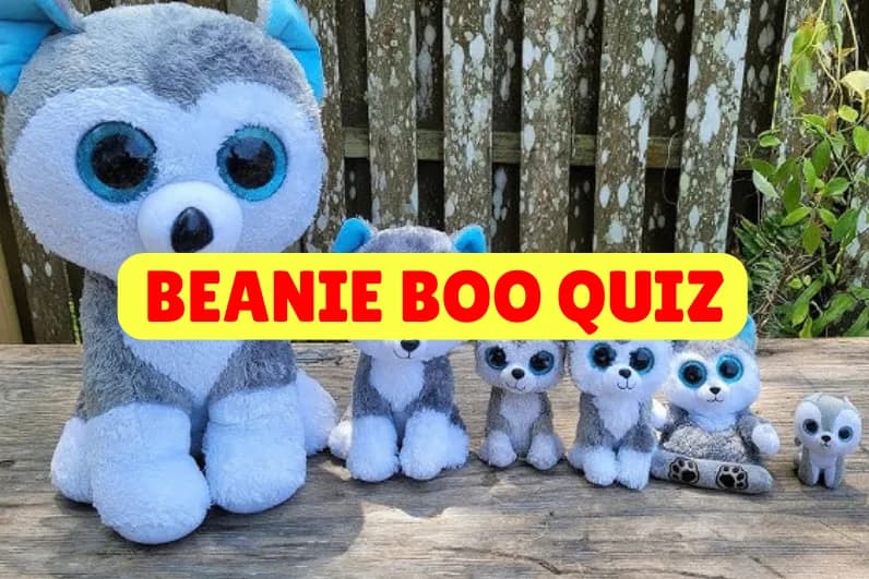 Beanie Boo Quiz
