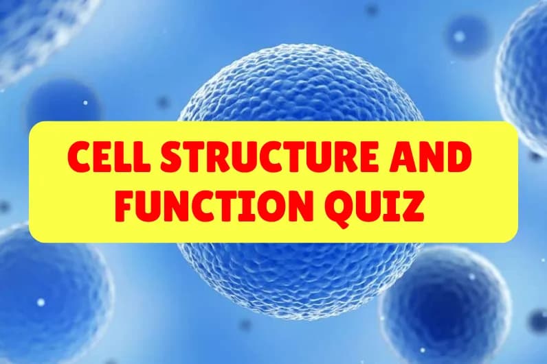 Cell Structure And Function Quiz