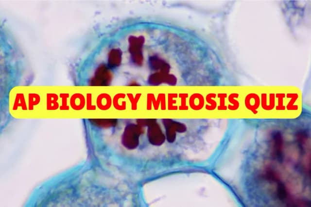 AP Biology Meiosis Quiz