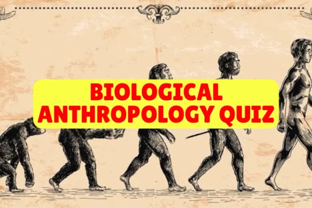 Biological Anthropology Quiz