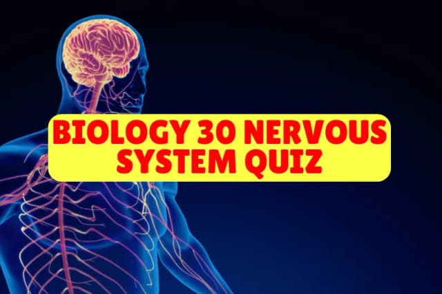 Biology 30 Nervous System Quiz