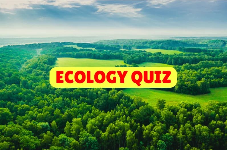 Ecology Quiz