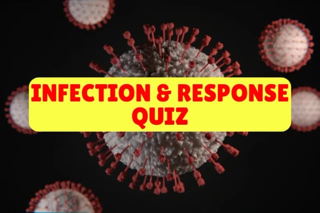 Infection & Response Quiz