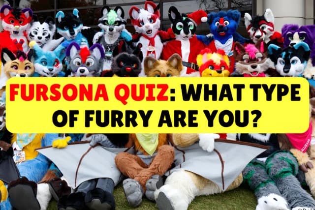 Fursona Quiz: What Type Of Furry Are You?