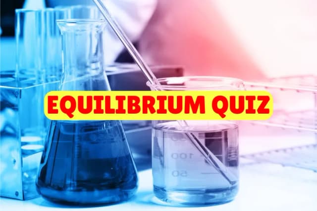 Equilibrium Quiz