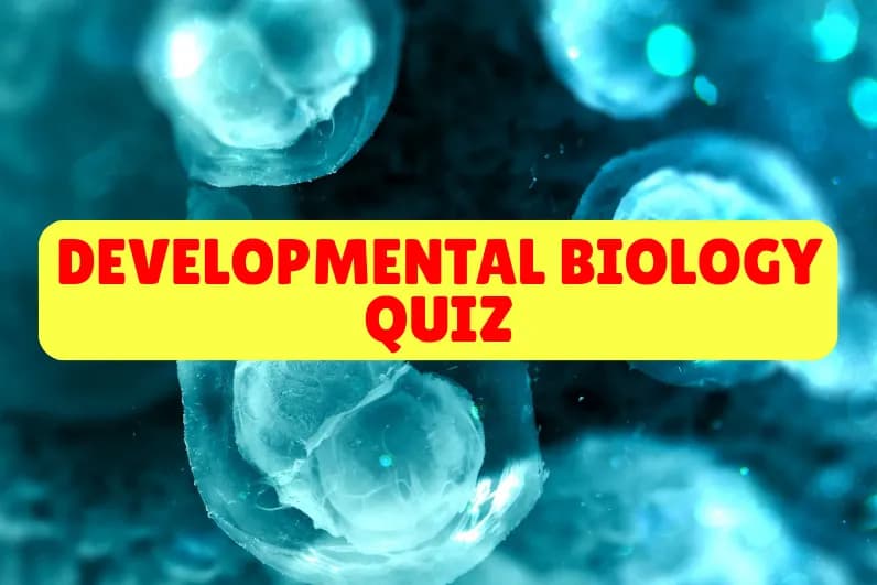 Developmental Biology Quiz