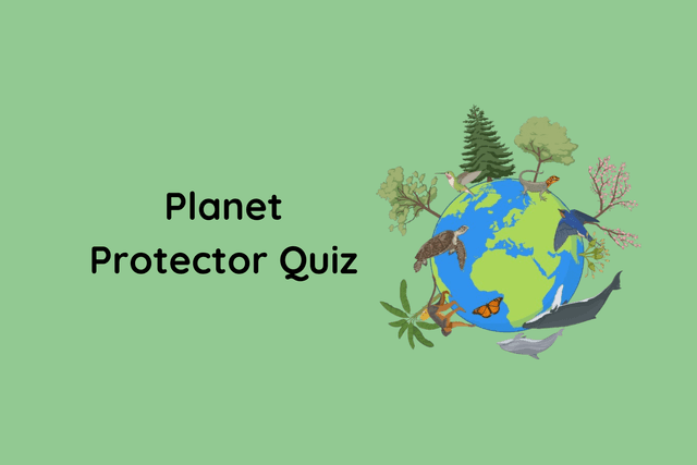Planet Protector Quiz