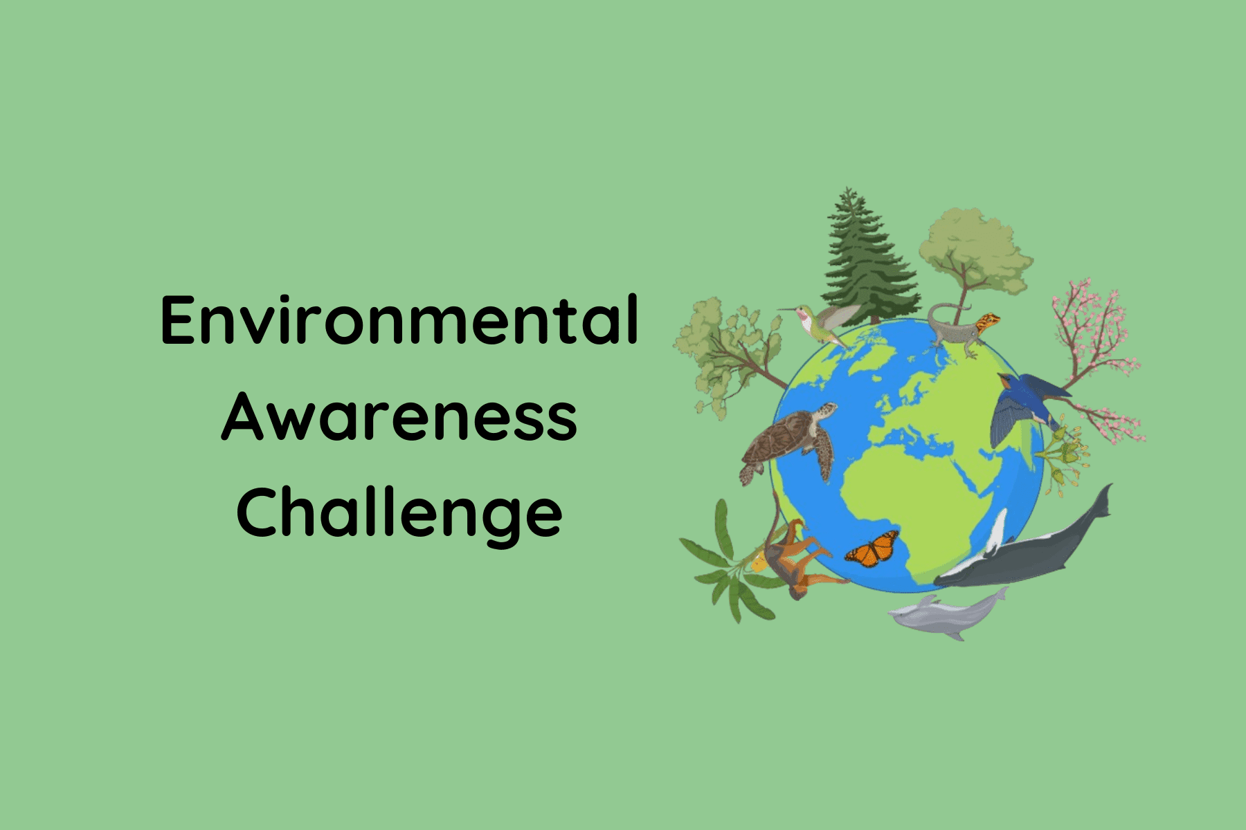 Environmental Awareness Challenge