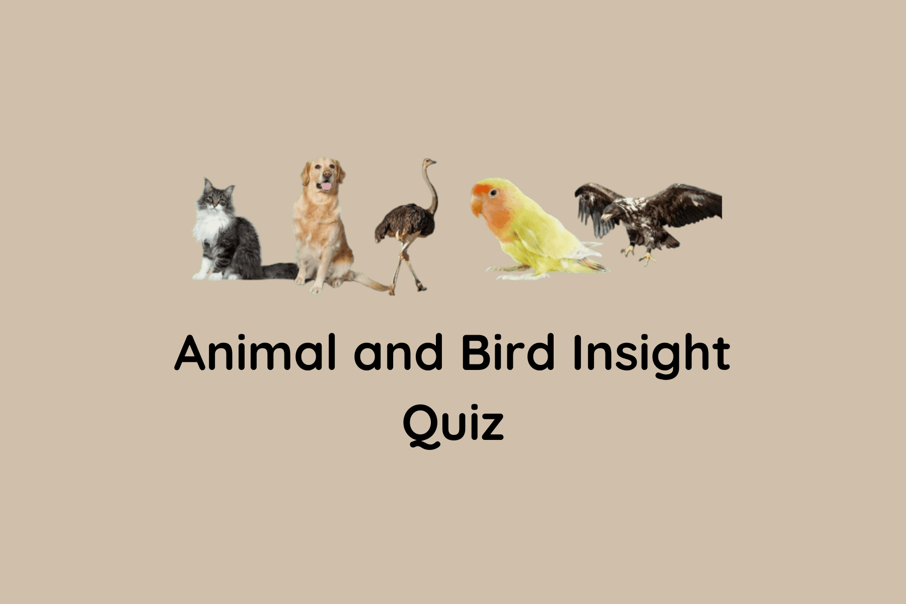 Animal and Bird Insight Quiz