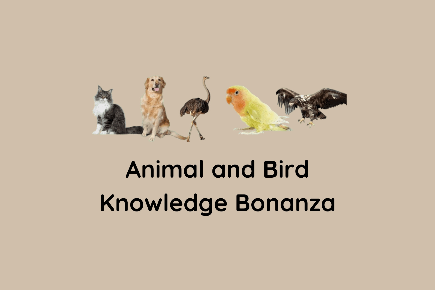 Animal and Bird Knowledge Bonanza