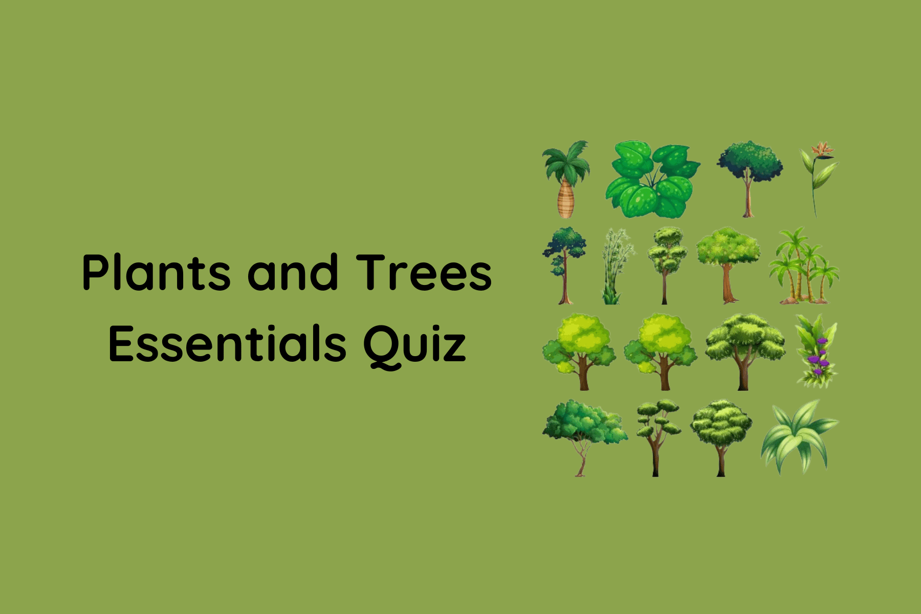 Plants and Trees Essentials Quiz
