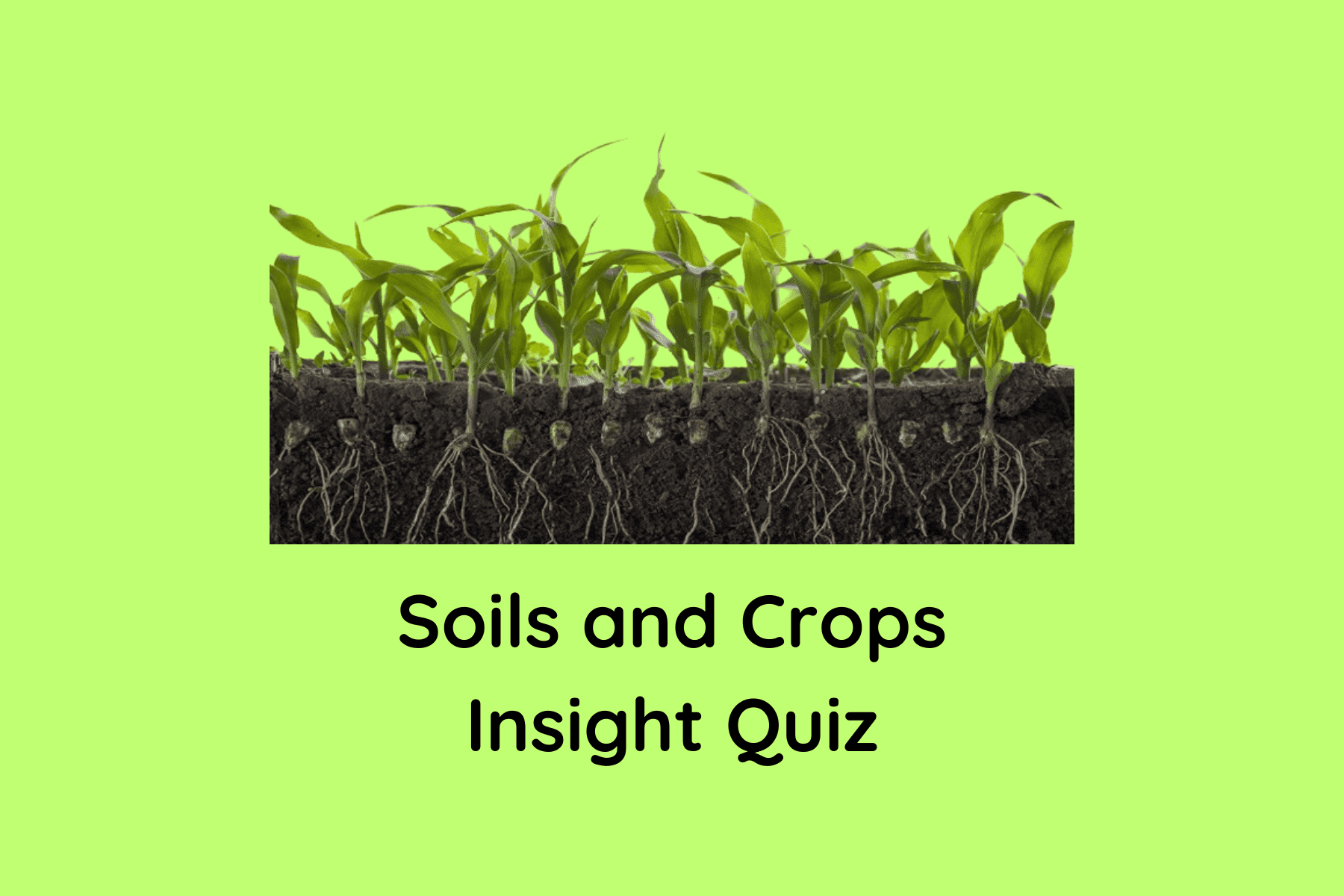Soils and Crops Insight Quiz